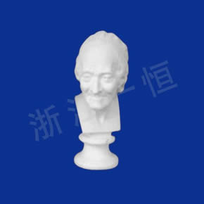 美術(shù)教材系列伏爾泰頭像