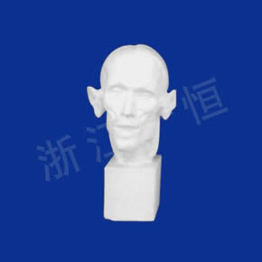 美術(shù)教材系列解剖頭像