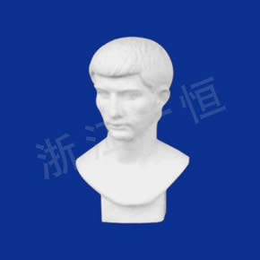 美術(shù)教材系列男胸像