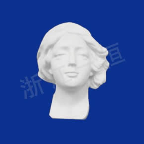 美術(shù)教材系列少女半面