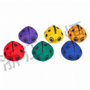 Throwing classLadybug bean bag group