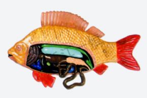 生物及醫(yī)療模型3115 魚(yú)解剖模型