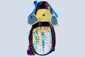 生物及醫(yī)療模型3127 肝臟模型