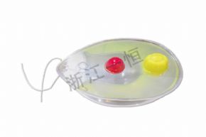 生物及醫(yī)療模型3209 衣藻模型