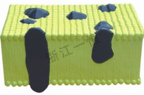 生物及醫(yī)療模型3224 細(xì)胞膜結(jié)構(gòu)模型