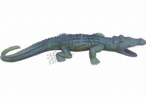 生物及醫(yī)療模型3234 仿真揚(yáng)子鱷