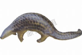 生物及醫(yī)療模型3235 仿真穿山甲