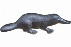 生物及醫(yī)療模型3237 仿真鴨嘴獸