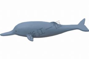 生物及醫(yī)療模型3266 仿真白鱀豚