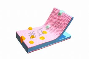 生物及醫(yī)療模型33304細(xì)胞膜流動(dòng)鑲嵌模型組件