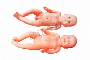 生物及醫(yī)療模型XY-451 新生嬰兒護(hù)理（男女）
