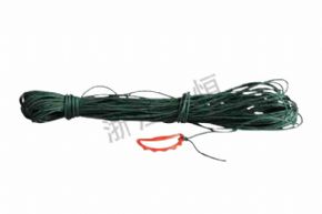 小學(xué)科學(xué)205 測繩