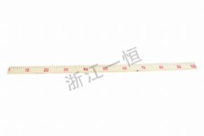 小學科學10001 演示直尺