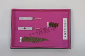 標(biāo)本狗脊生物史標(biāo)本