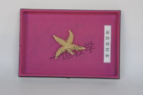 標(biāo)本海盤車標(biāo)本